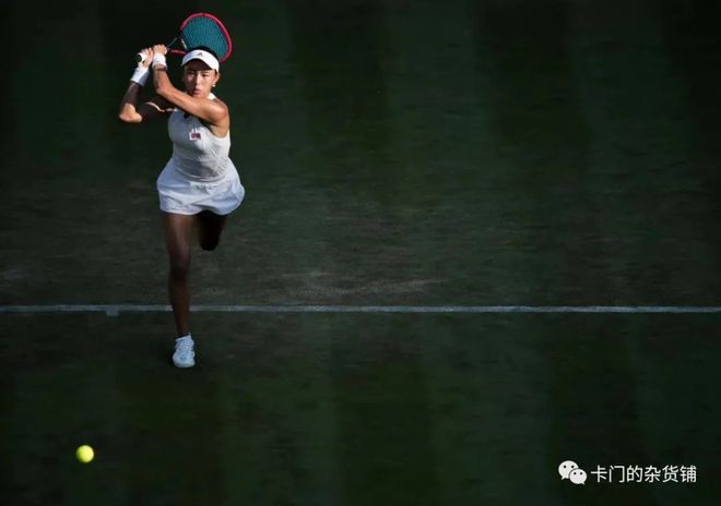 国内评价的 国内评价的