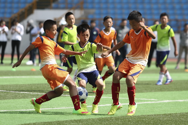 体系与执行 体系与执行